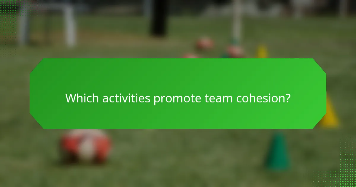 Which activities promote team cohesion?